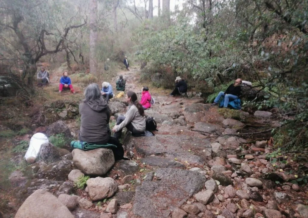 Forest Bath - Reserva da Biosfera do Gerês